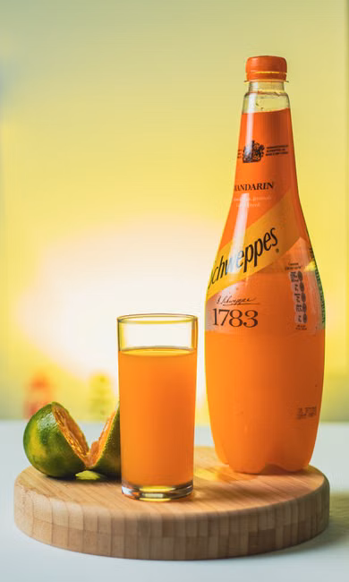 Suco Natural (500ml)